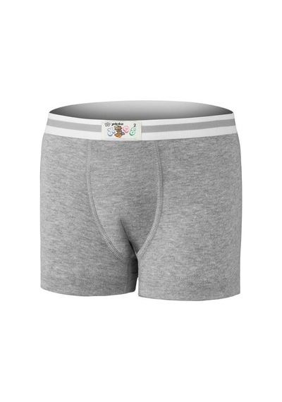 12 Adet Yıldız Erkek Çocuk Ribana Boxer Gri 31