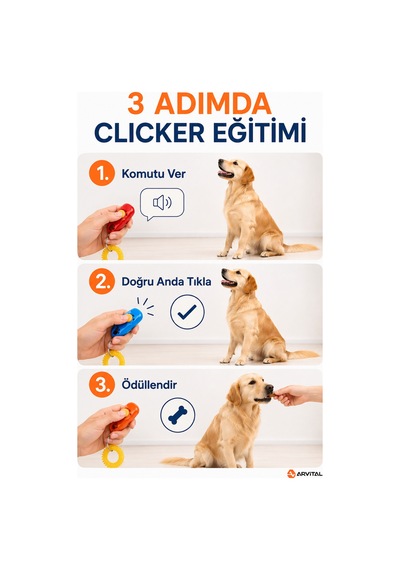 Köpek Eğitim Clicker Bilek Askılı Sesli Eğitim Aparatı