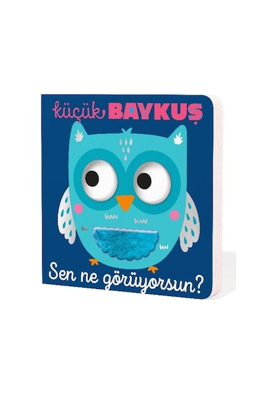 Küçük Baykuş Sen Ne Görüyorsun