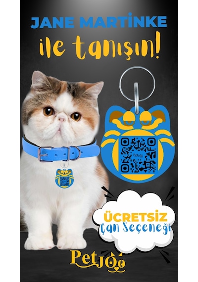 Petjoo 5.Jane Martinke Sarı-Mavi Qr'lı Kedi Künyesi