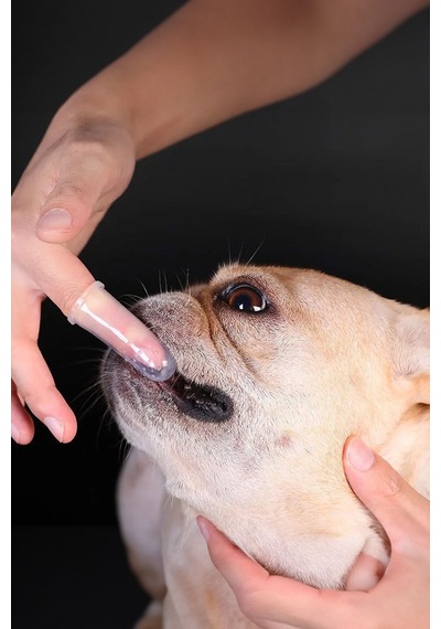 Evcil Hayvan Dil Diş Fırçası Pet Kedi Köpek Diş Fırçası