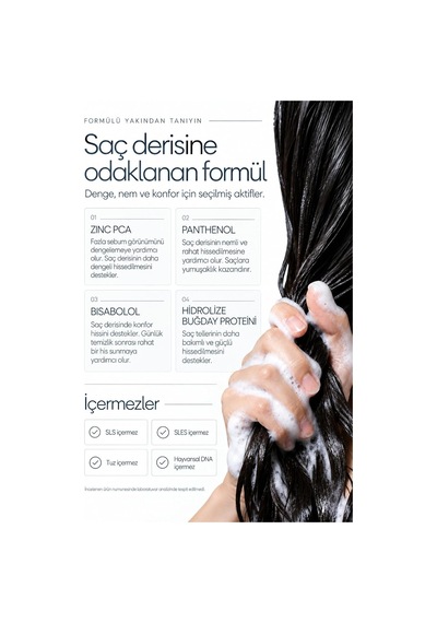 Scalp Care Şampuan, Kepek Ve Yağlanma Karşıtı, Zinc Pca, 300 Ml