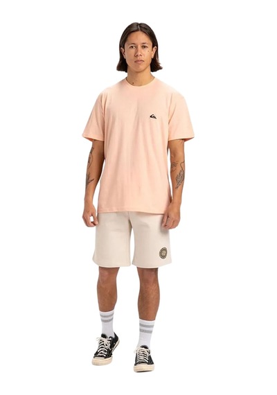 Quıksılver Quiksilver Basic Young Erkek Tişört Mef0 Çok Renkli