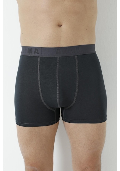 Arma Yıldız Erkek Füme Bambu Boxer 3'lü Paket-füme Füme