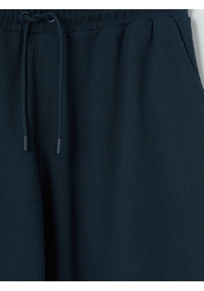 Lcwaıkıkı Classic Petrol Regular Fit Erkek Şort
