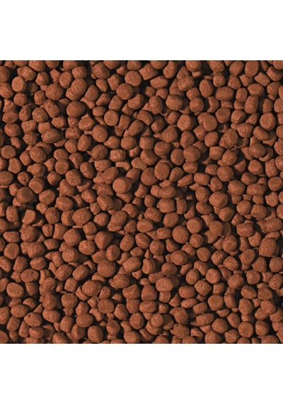 Tropical Cichlid Carnivore Medium Pellet 500 Gr Açık