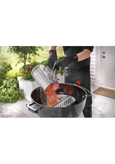 Weber 17590130 Briguet, 4 Kg, Ep