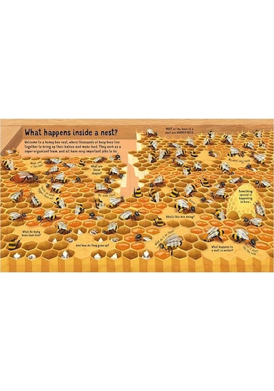 Look Inside: The World Of Bees - Usborne