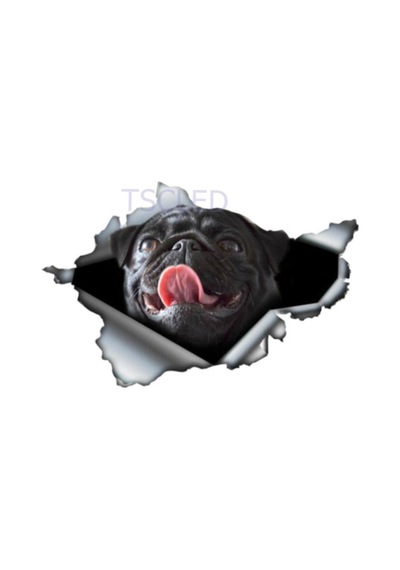 Siyah Pug Yırtık Araba Sticker Su Geçirmez Çıkartması