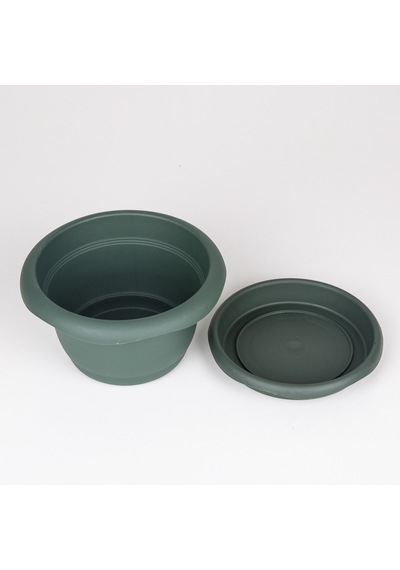 Veramaya Tabaklı Menekşe Saksı Yeşil 16X9 Cm No:2
