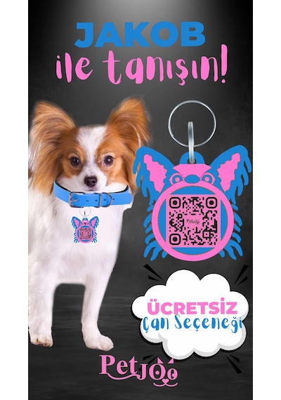 Petjoo 8.Jakob Pembe-Mavi Qr'lı Köpek Künyesi