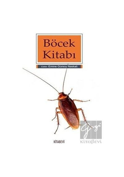 Böcek Kitabı- Kitabevi Yayınları