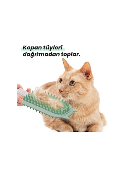 Ayrex Silikon Tüy Toplayıcı Tarak, Kedi Tarağı, Kedi Fırçası, Evcil Hayvan Bakım Tarağı, Tüy Temizleme Fır