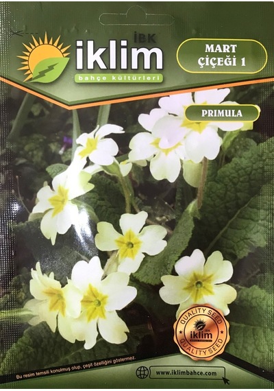 Mart Çiçeği Çiçek Tohumu 1 Primula Acaulis Takribi 30 Tohum N117687