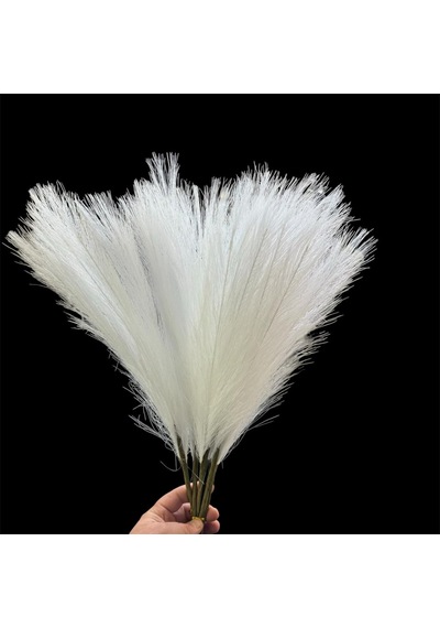 Konak Züccaciye Tek Dal Tüy Pampas Beyaz 70 Cm 7 Dallı