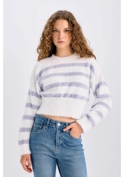 DeFacto Regular Fit Çizgili Bisiklet Yaka Triko Kazak R1285AZ24CWPR68 Mor