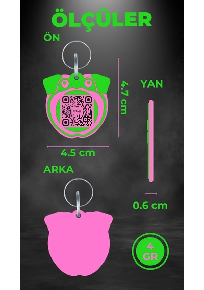 Petjoo 9.Konfüçyüs Pembe-Yeşil Qr'lı Köpek Künyesi