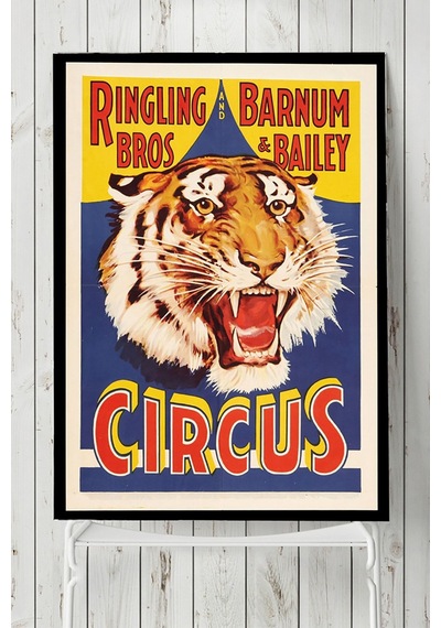 Circus Vintage Poster