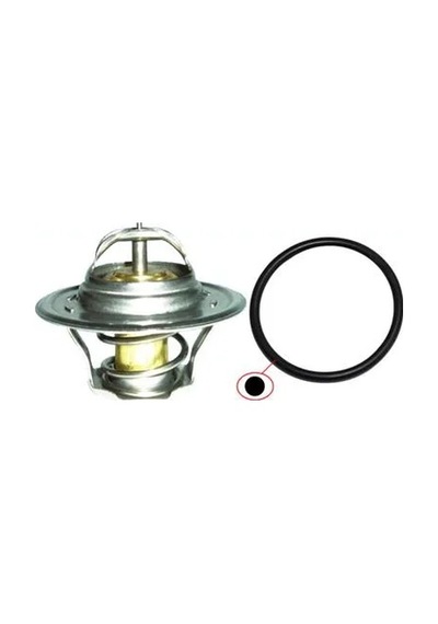 Termostat Bora Golf A3 1.4