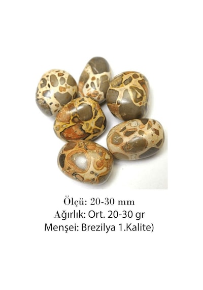 Riyolit Taşı Kütle Leopardite