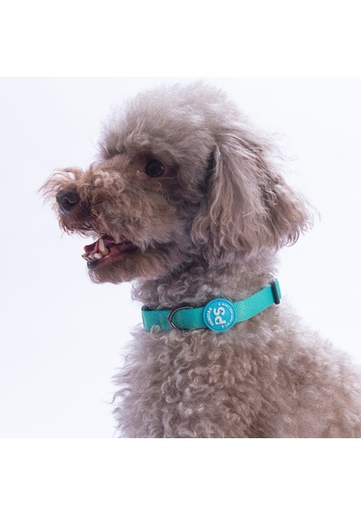 Mint Köpek Boyun Tasması Ayarlanabilir Köpek Tasması M Turkuaz