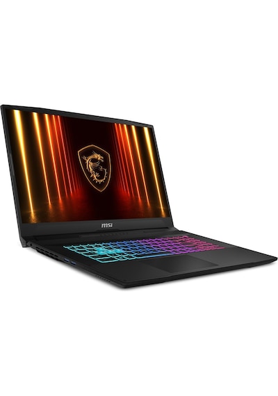 MSI KATANA 17 HX B14WGK-285XTR i7-14650HX 16 GB 1 TB SSD RTX5070 17.3" Dos Dizüstü Bilgisayar 