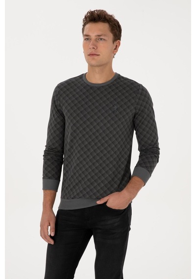 U.S. Polo Assn. Erkek Regular Fit Bisiklet Yaka Pamuk Antrasit Sweatshirt 2245989