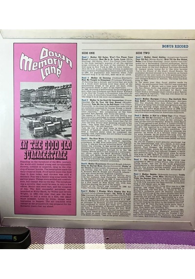 In The Good Old Summertime - The Gaslight Singers & Buffalo Bills Lp