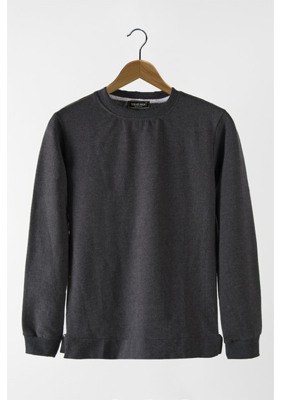 Terapi Men Erkek Antrasit Bisiklet Yaka Basic Düz Sweatshirt Antrasit