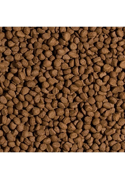 Tropical Koi Wheat Germ Garlic Pellet Size M 1000 Ml 320 Gr Kutu Yem