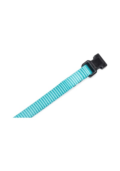 Hnrlıshp Beeztees Yavru Köpek Boyun Tasması, Çeşitli Renklerde, 17-25cm, 10mm Çok Renkli