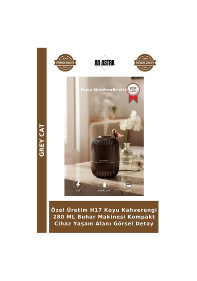 Özel Üretim H17 Koyu Kahverengi 280 Ml Buhar Makinesi Kompakt Cihaz Yaşam Alanı Görsel Detay