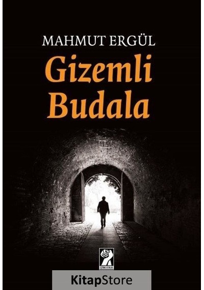 Gizemli Budala - Mahmut Ergül - İştirak Yayınları