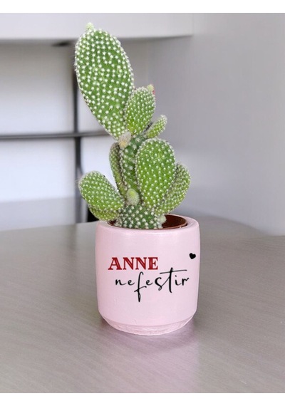 Anne Nefestir Temalı Anneler Günü Anneye Ve Eşe Özel El Yapımı Hediye Saksı Çiçeksiz Model 15