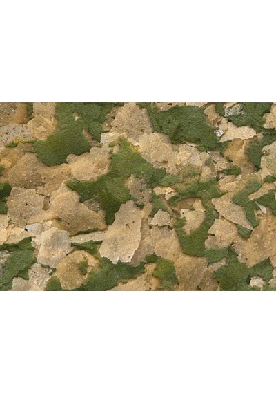 Sera Vipan Large Flakes Nature 50 Gr Kovadan Bölme