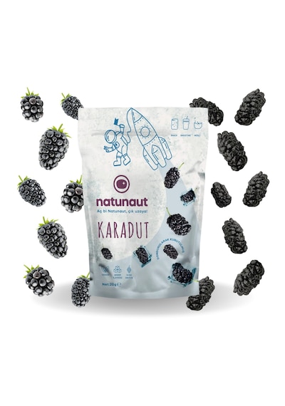 Natunaut Kuru Karadut Meyve Cipsi 20 G