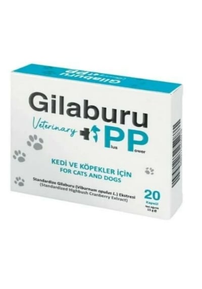 Gilaburu Kedi Köpek Böbrek Destek Ürünü 20 Kapsül - İdrar Yolu Enfeksiyonlarına Karşı Orijinal Takviye