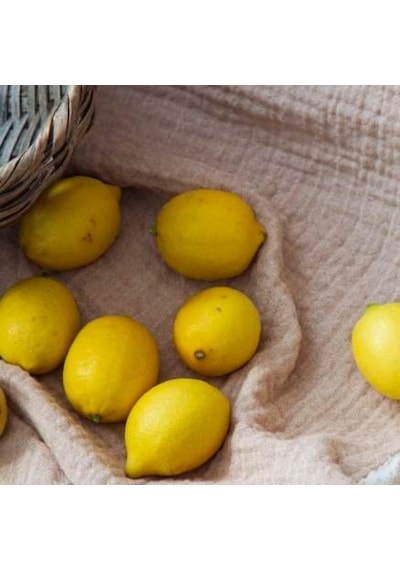 Apricitas Home Muslin Çift Kişilik Yatak Örtülü Nevresim Takımı June Bej