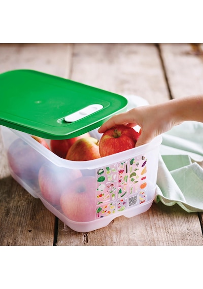 Tupperware Sera Serisi 4.4 L ve 1.8 L 2'li Yeşil Kap