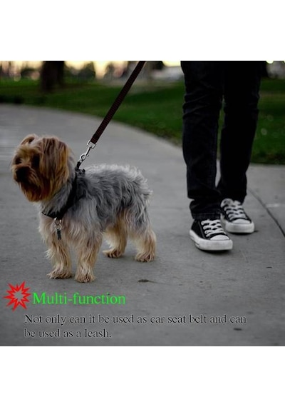 Araç Araba Köpek Kedi Emniyet Kemeri Tasması Oto Aksesuarı Evcil Siyah