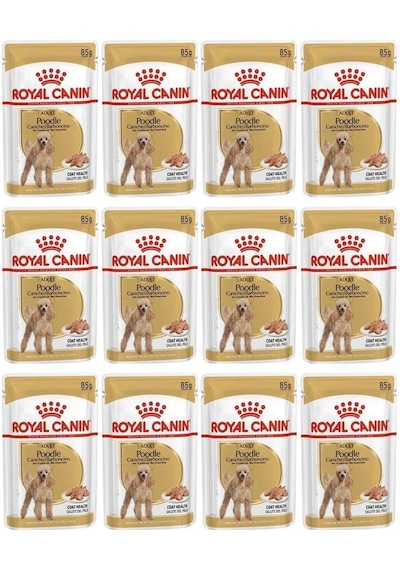 Royal Canin Poodle Caniche Tüy i Yetişkin Köpek Maması 12 x 85 G
