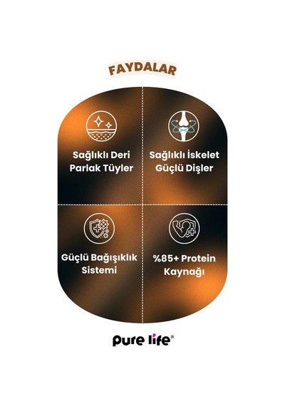 Purelife Multicolor Tavuklu Gurma Yetişkin Kedi Maması 15 KG