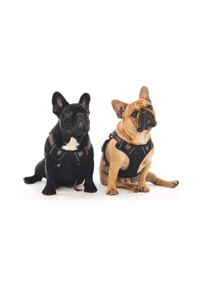 M-pets Hıkıng Reflektörlü Soft Köpek Göğüs Tasması Turuncu S Siyah