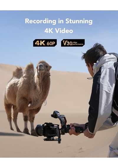 Lexar Profesyonel Silver Sd Kart 256 Gb, 205 Mb/s'ye Kadar Okuma,
