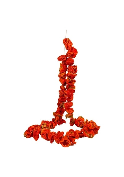 Kuru Dolmalık Biber 50 Adet
