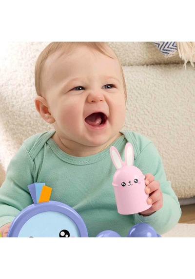 Fisher-Price Denge Kuşu Jlg00