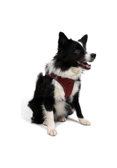 Air-Mesh Küçük ve Orta Irk Kedi Köpek Göğüs Tasması - Yumuşak, Nefes Alabilir, Dayanıklı Bordo XL