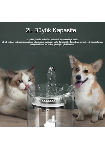 Interstech Akıllı Sessiz Kedi Sessiz Şeffaf Otomatik Pet Su Sebili