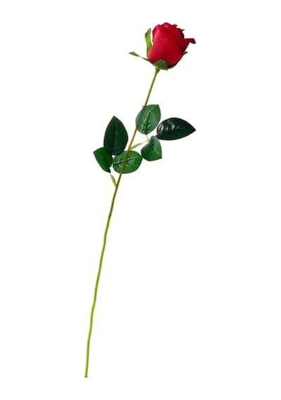 Yapay Çiçek Kırmızı Gül Tek Dal 55 Cm (319247302)