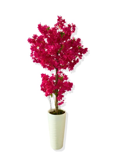 Cihan Çiçekçilik Yapay Ağaç Fuşya Begonvil 190 Cm 56x30x20 Beyaz Kumsal Saksı Fuşya
